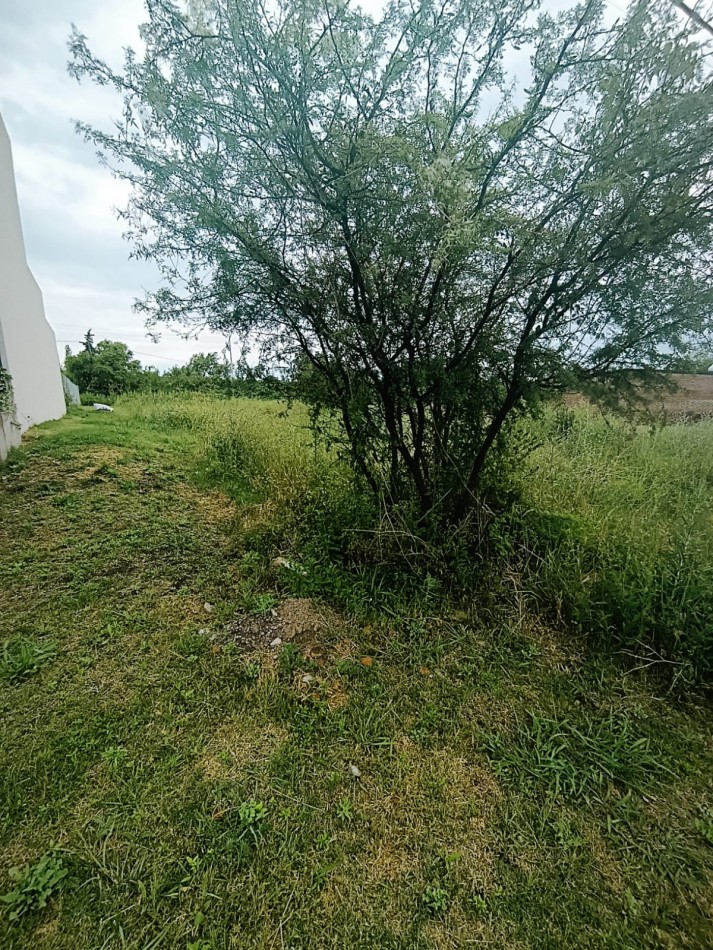 Gran lote en Venta en hermosa zona