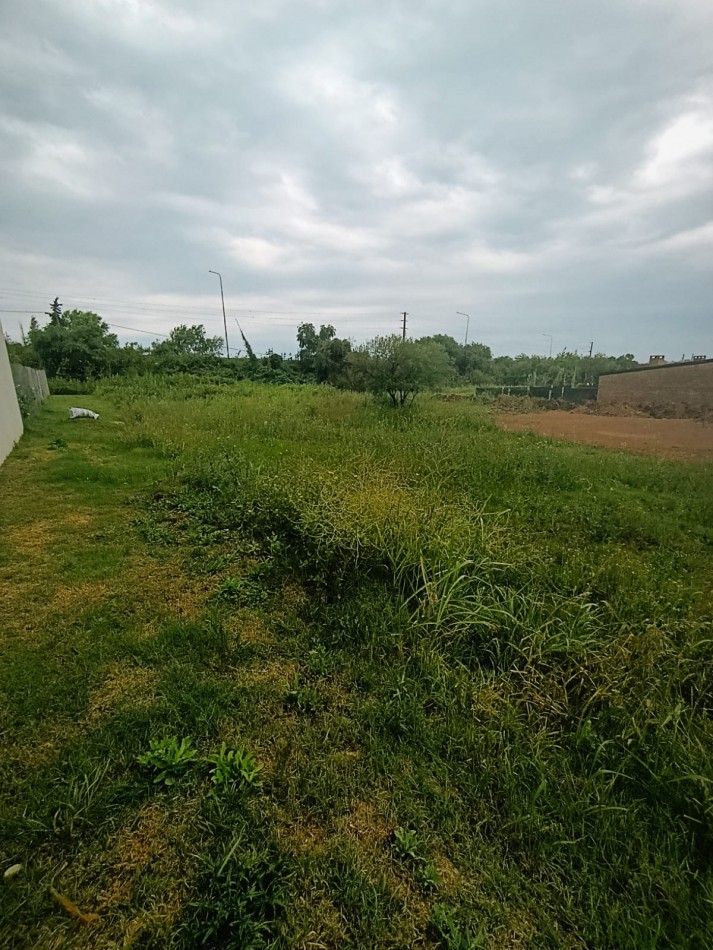 Gran lote en Venta en hermosa zona