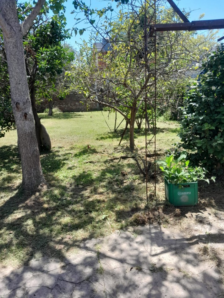 Propiedad en gran terreno para remodelar o Proyecto.