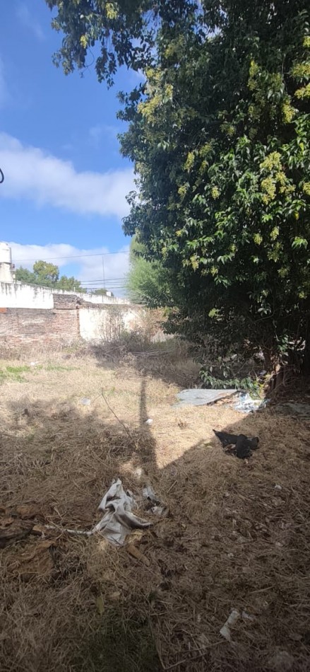 Terreno en esquina. Importante arteria de la ciudad.