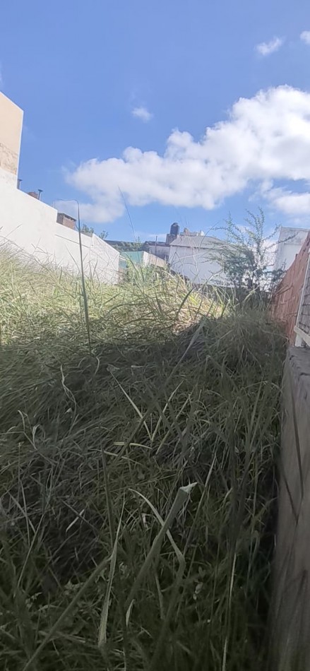 Terreno en excelente ubicacion.