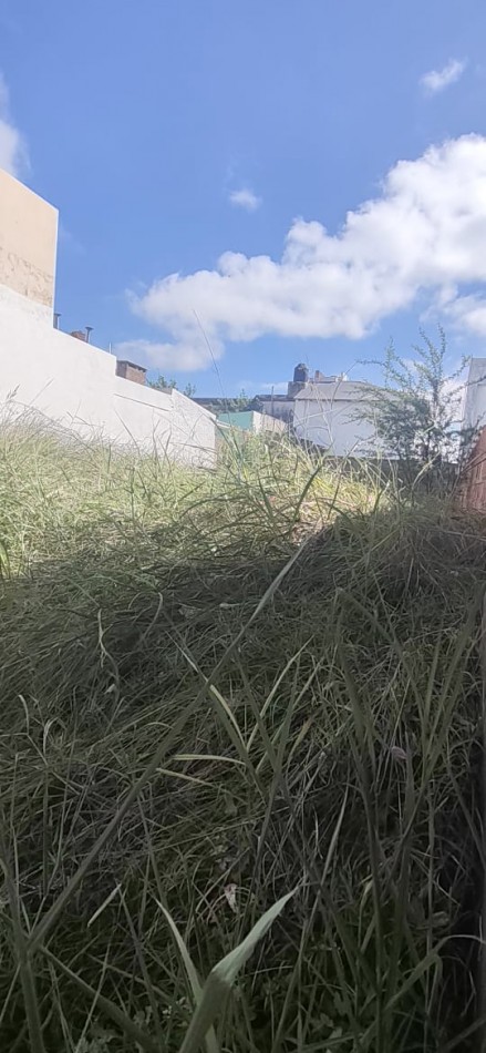 Terreno en excelente ubicacion.