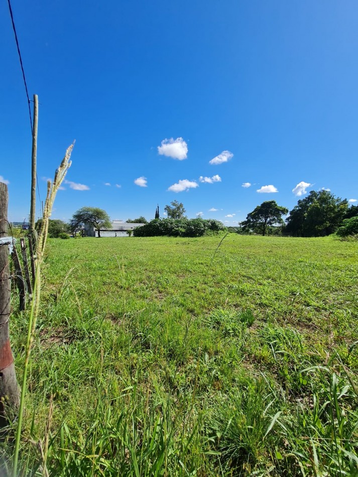Gran terreno en venta (3 Lotes juntos). Optimo para desarrollo, logistica y mas 