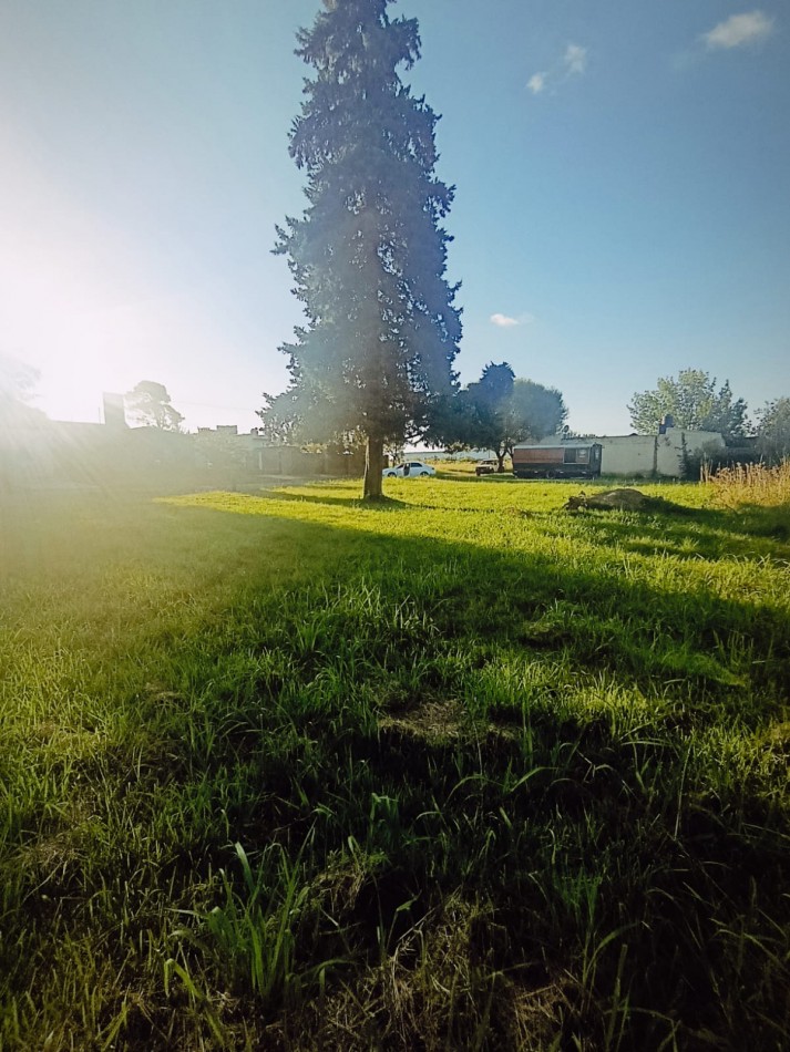 En venta gran terreno ideal casaquinta 1800 metros cuadrados Colonia Avellaneda 