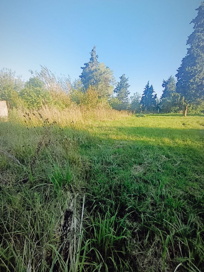 En venta gran terreno ideal casaquinta 1800 metros cuadrados Colonia Avellaneda 