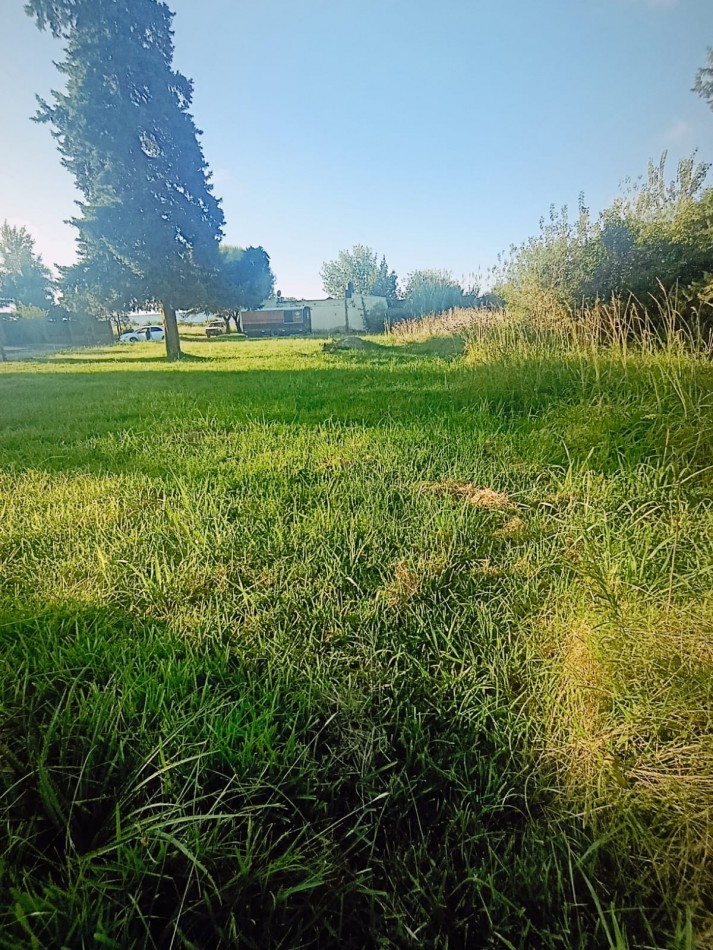 En venta gran terreno ideal casaquinta 1800 metros cuadrados Colonia Avellaneda 