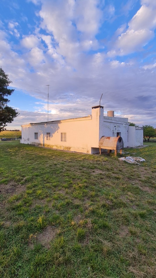 Campo Para Desarrollo Mixto 4.65 Hectareas