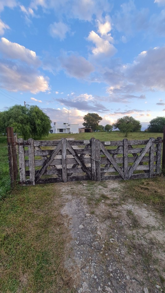 Campo Para Desarrollo Mixto 4.65 Hectareas