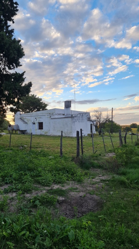 Campo Para Desarrollo Mixto 4.65 Hectareas