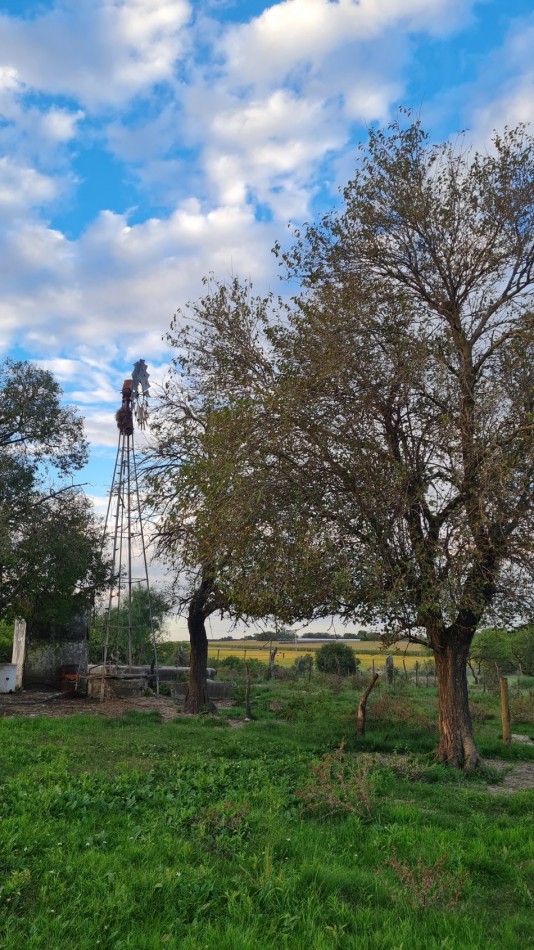 Campo Para Desarrollo Mixto 4.65 Hectareas