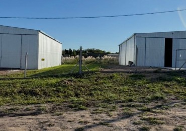 Se alquilan enormes galpones de 200 metros cuadrados multiples usos 