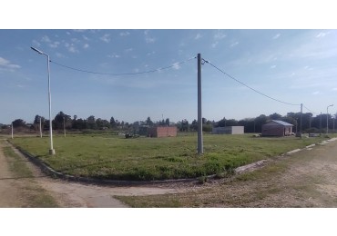 Lote en Colonia Avellaneda.