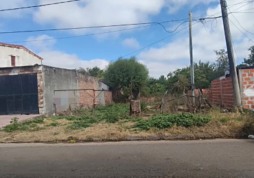 Terreno  en Venta a mts de Avenidas principales.
