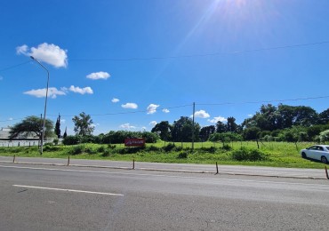 Gran terreno en venta (3 Lotes juntos). Optimo para desarrollo, logistica y mas 